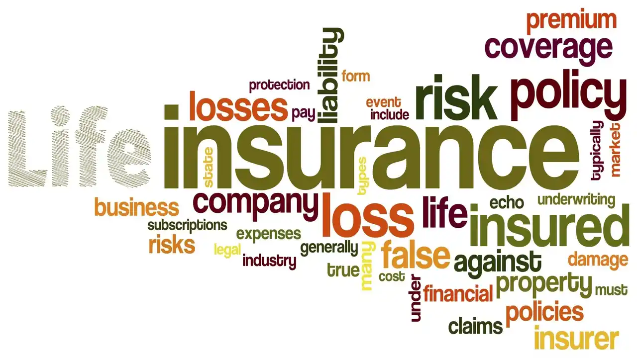 Life Insurance-What is Life Insurance Meaning-Definition-Frequently Asked Questions-Examples of Life Insurance
