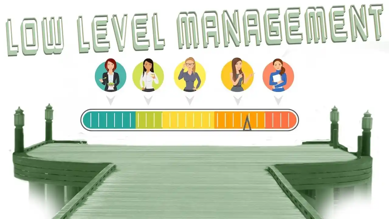 Low Level Management-What is Low Level Management-What is an Example of Low Level Management Functions-Why is Lower Level Management Important
