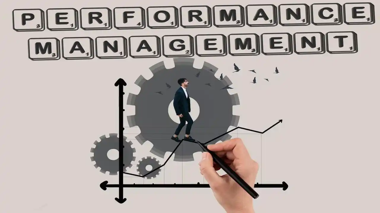 Types of Performance Management-What are the Types of Performance Management-What are Performance Management Types