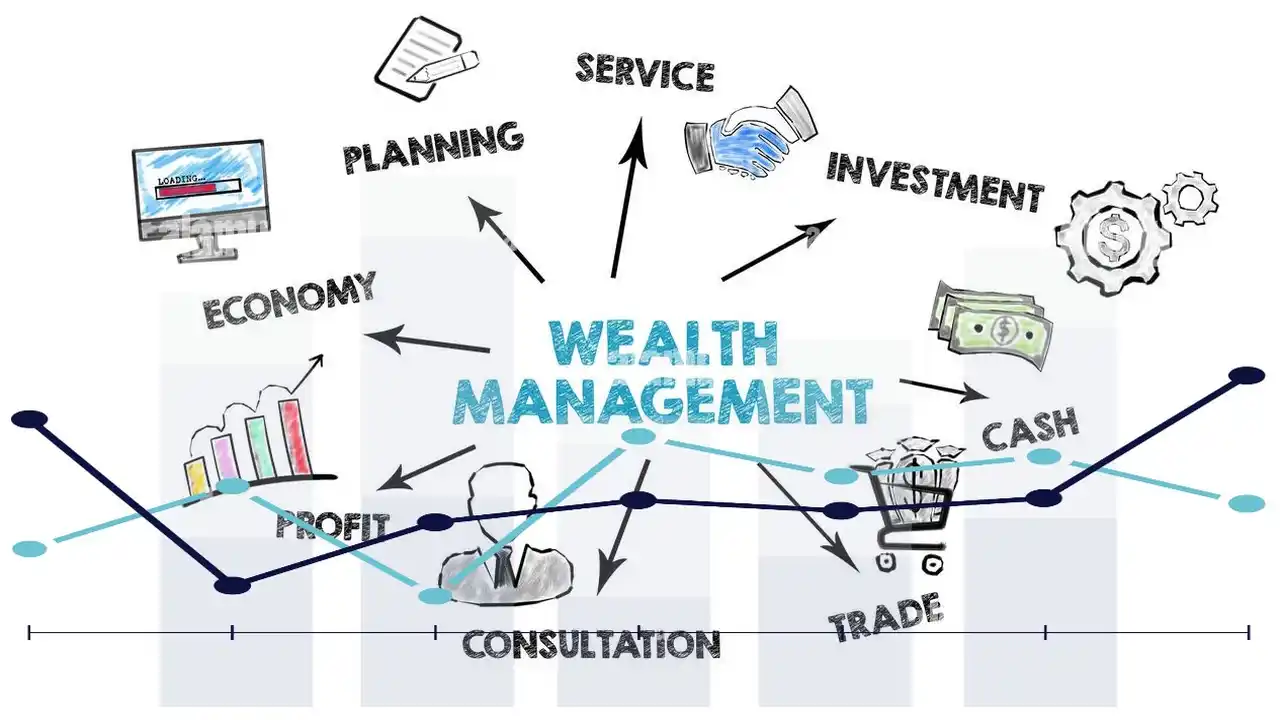 Wealth Management-What is Wealth Management Meaning-Definition-Frequently Asked Questions-Examples of Wealth Management